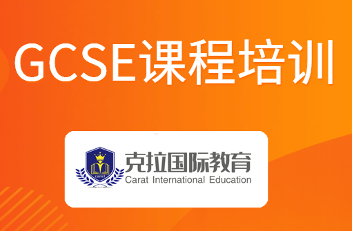 GCSEҵγҪѧʲô